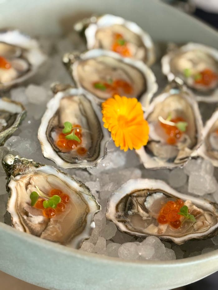 Fresh oysters on ice with salmon roe and an edible flower
